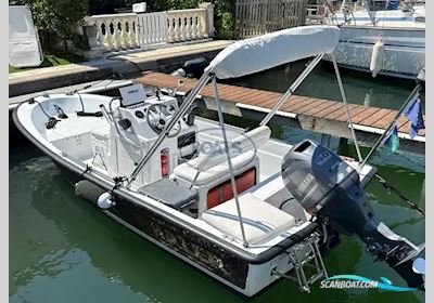 Boston Whaler 15 Dauntless Motorboten 1997, met Yamaha motor, France