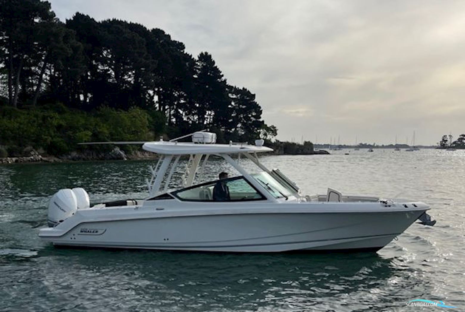 Boston Whaler Vantage 280