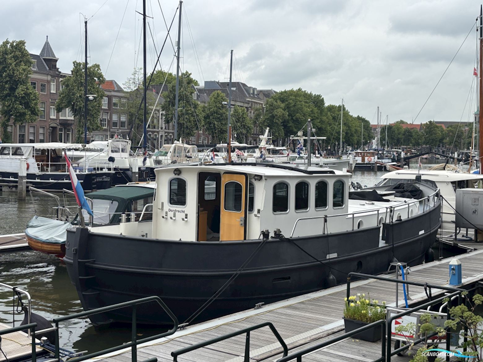 Bronsveen Kotter 14.95