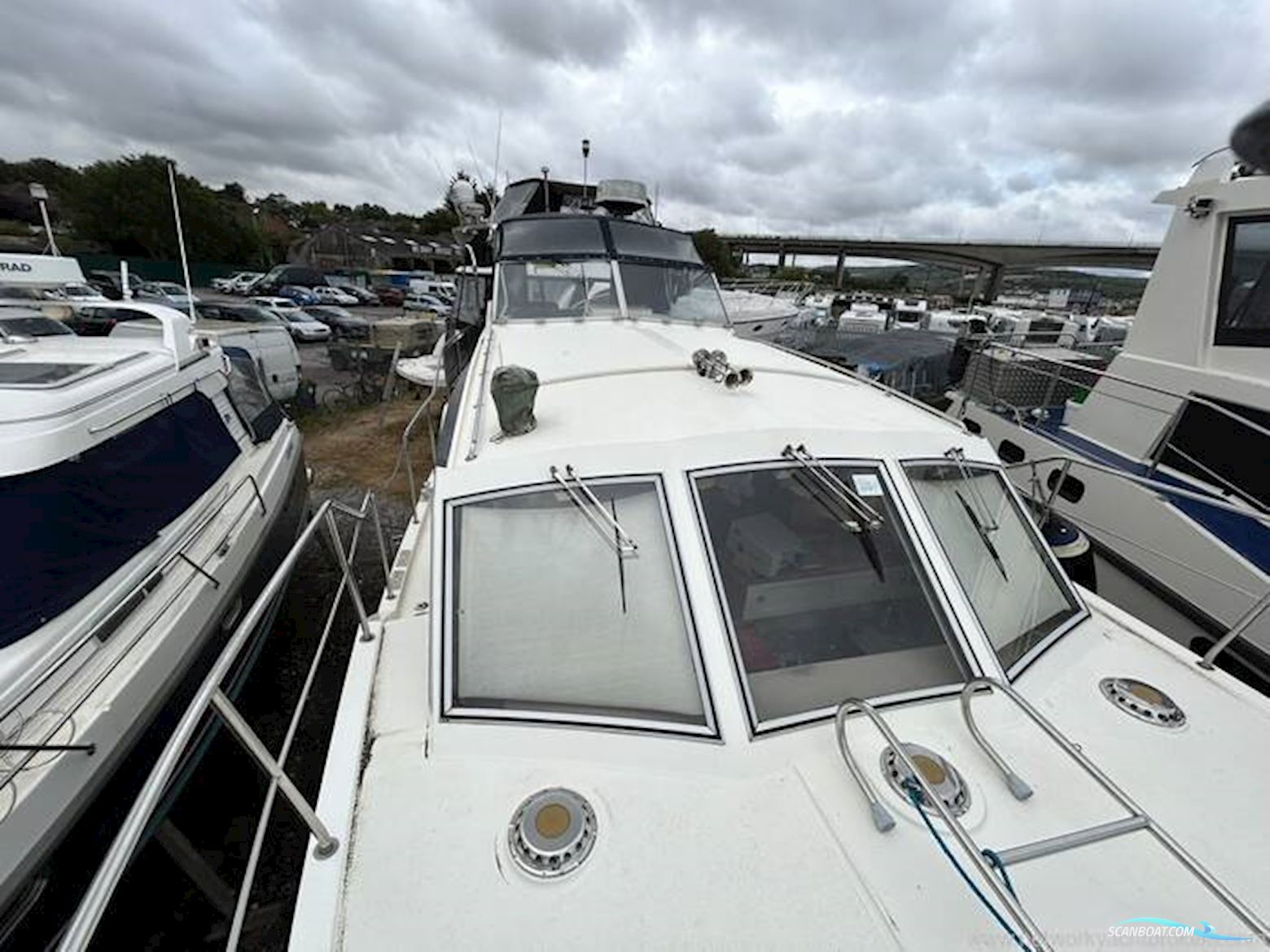 Broom Crown 37