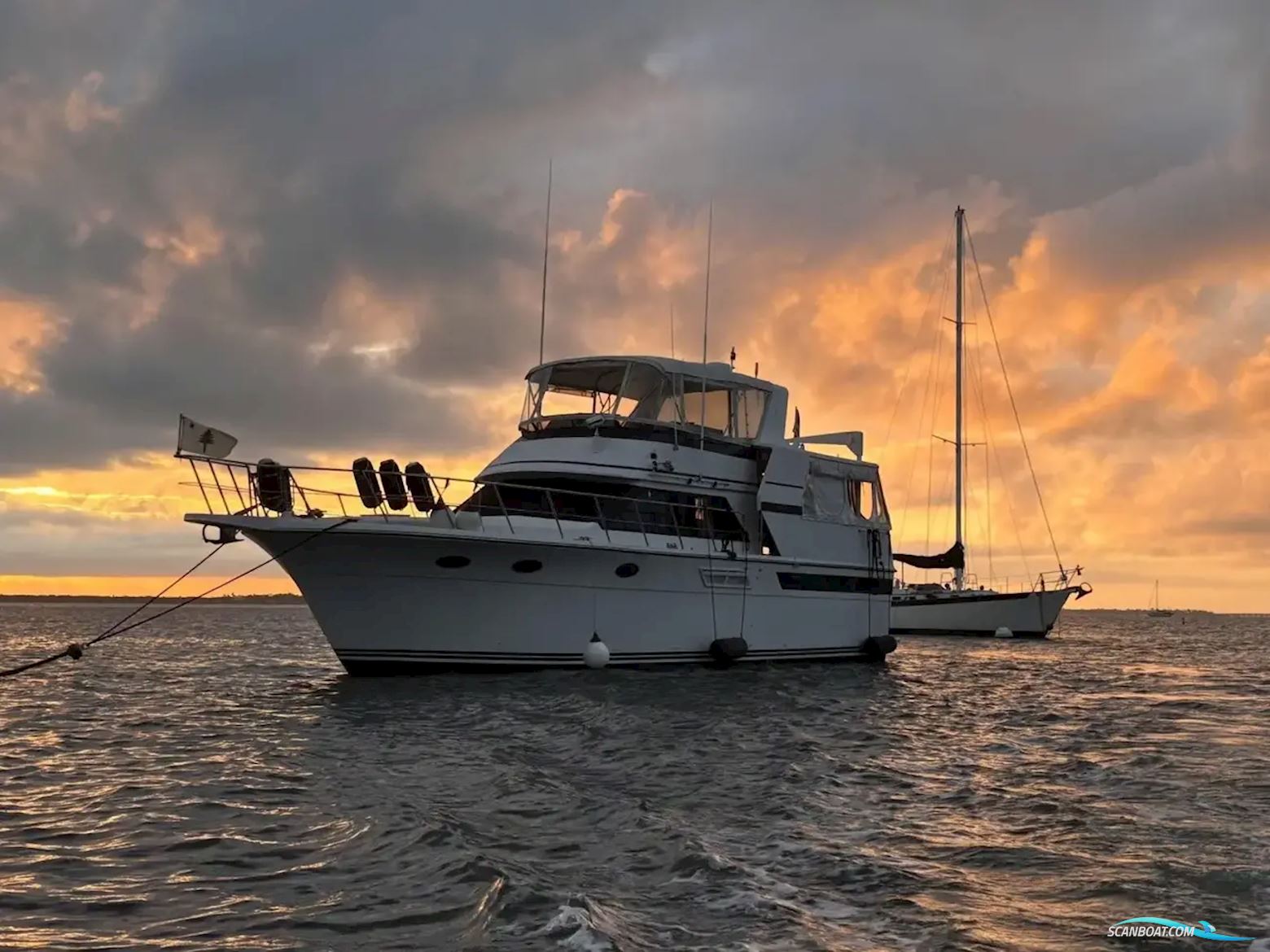 Californian 48 Sundeck