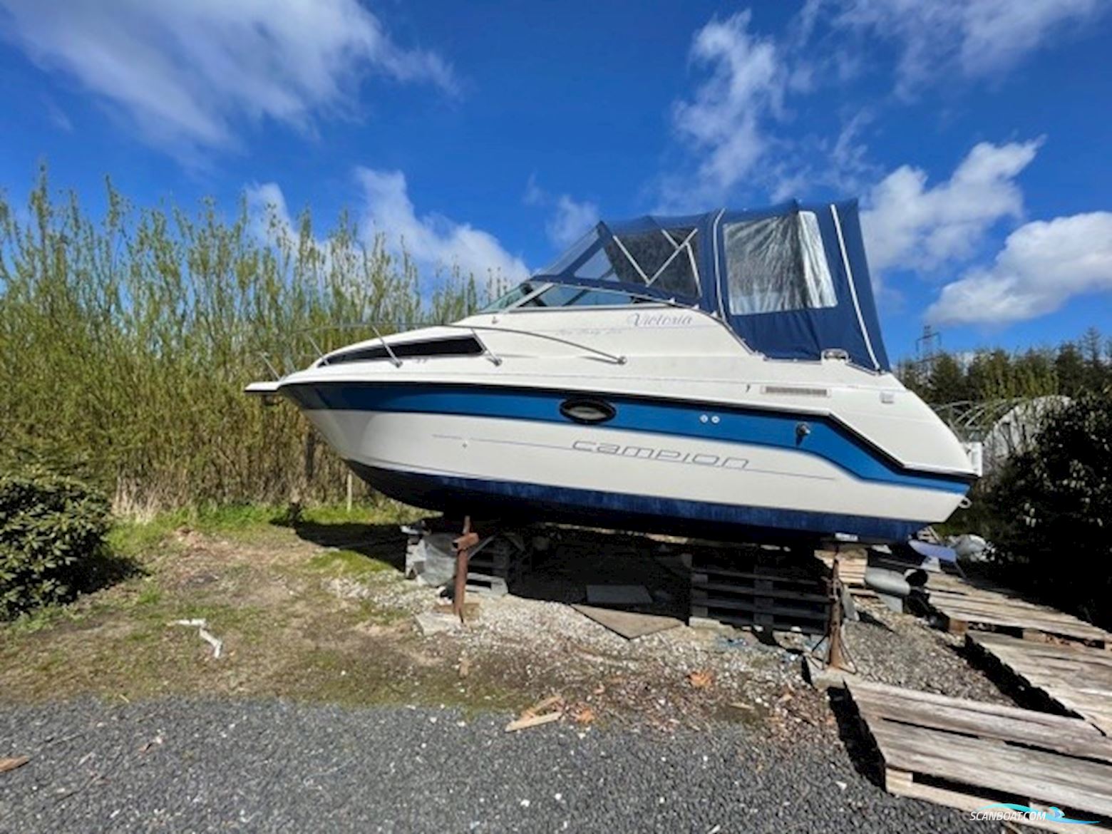 Campion 245 Victoria