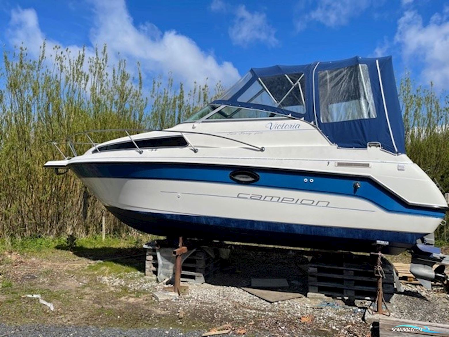 Campion 245 Victoria