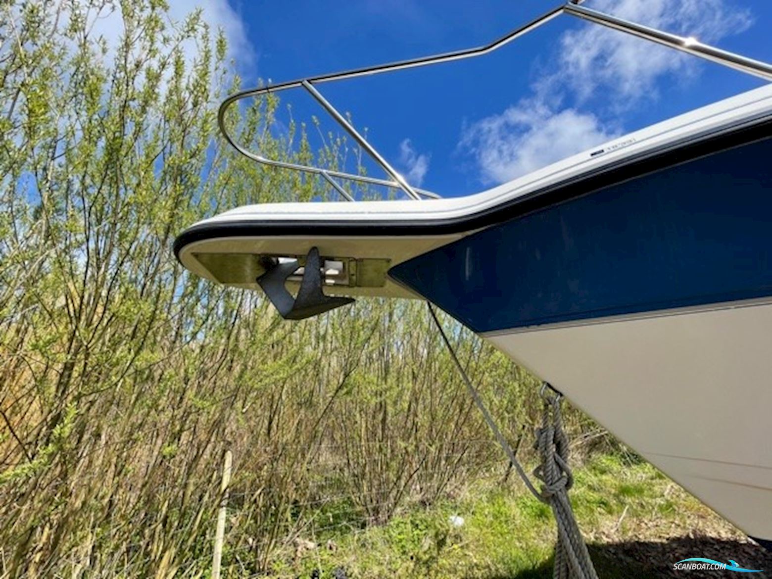 Campion 245 Victoria