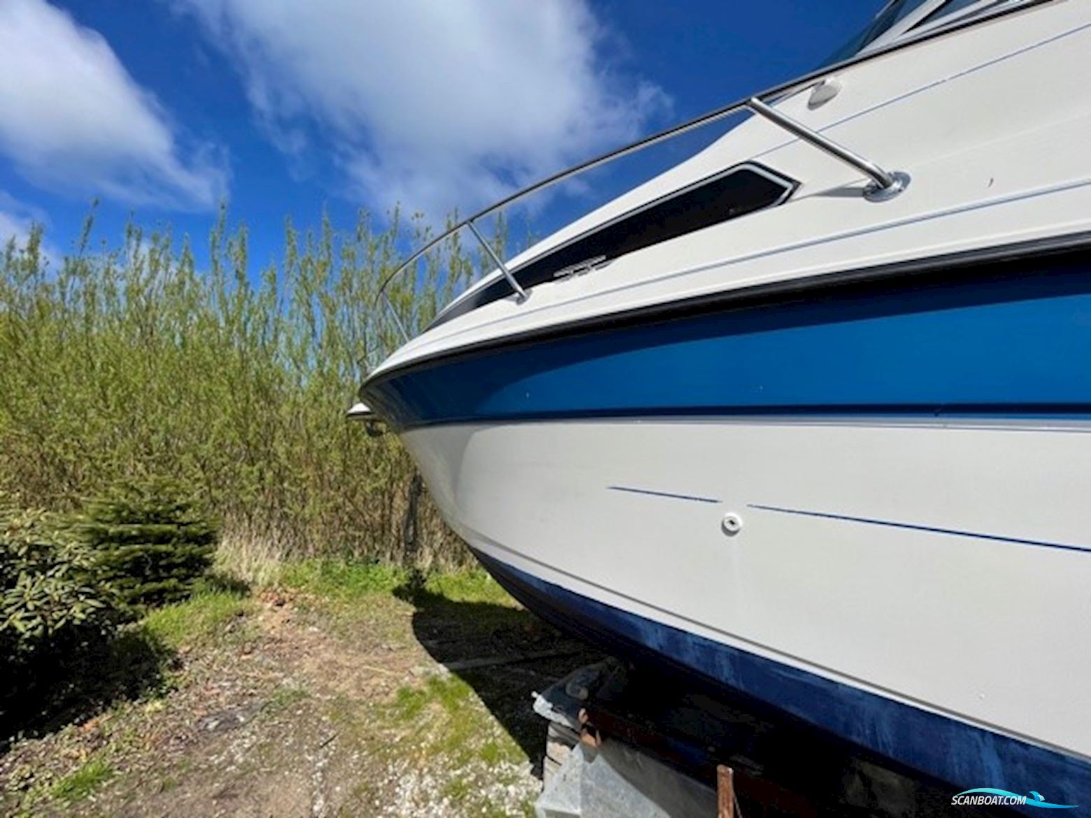 Campion 245 Victoria