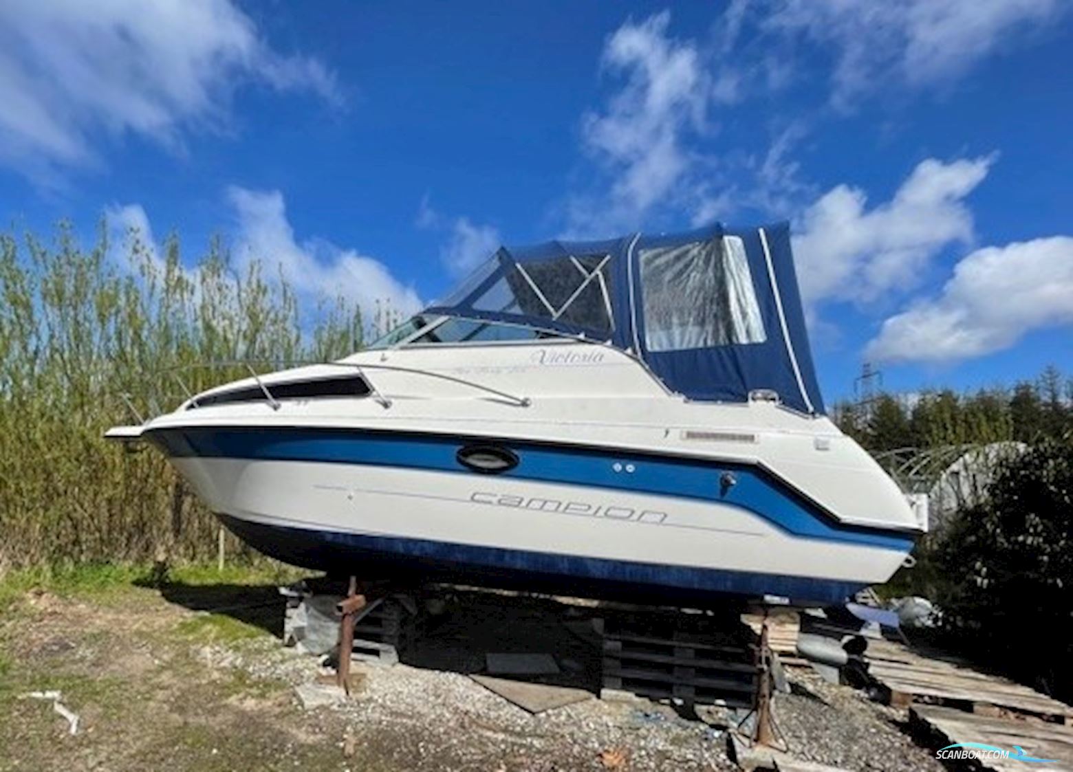 Campion 245 Victoria