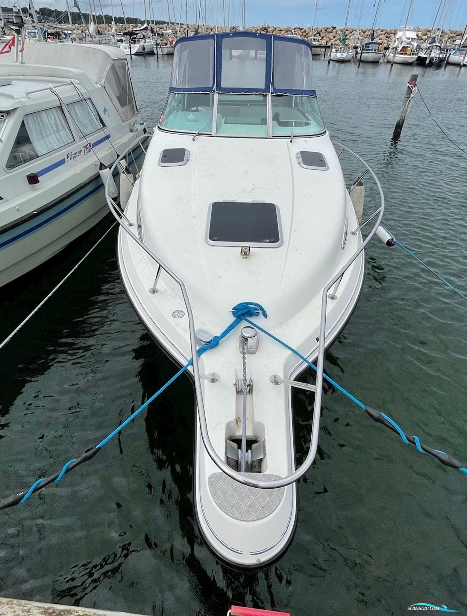 Campion 245 Victoria