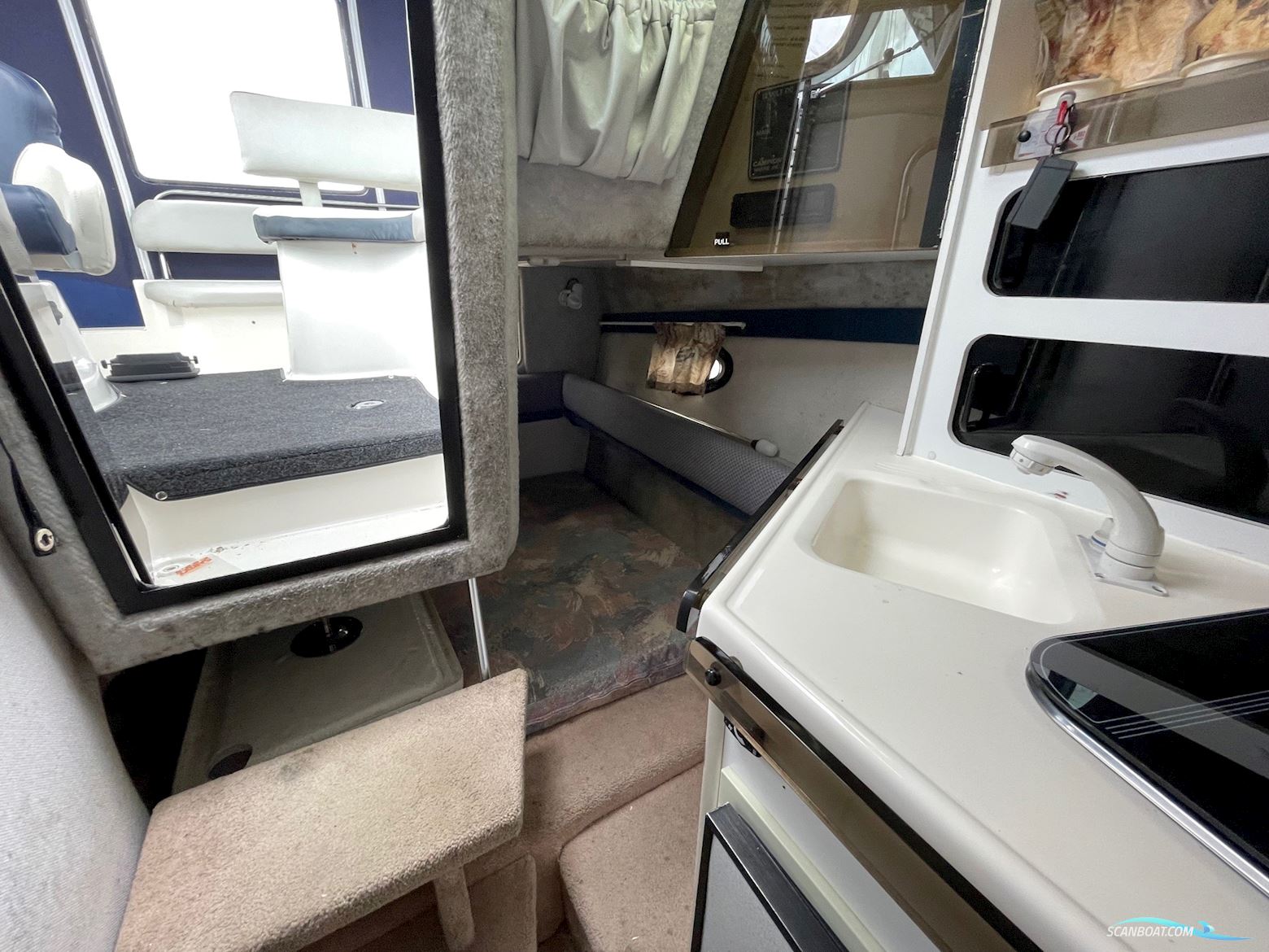 Campion 245 Victoria