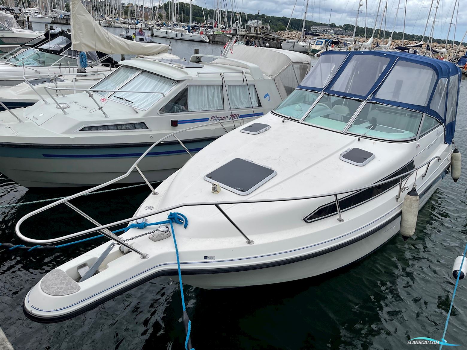 Campion 245 Victoria