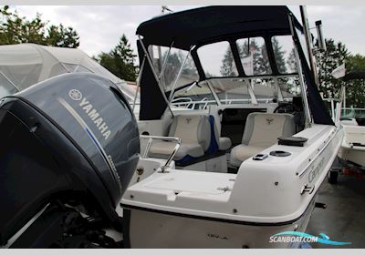 Campion 542 Explorer Motorboten 2004, met Yamaha F115Aetl motor, Denemarken