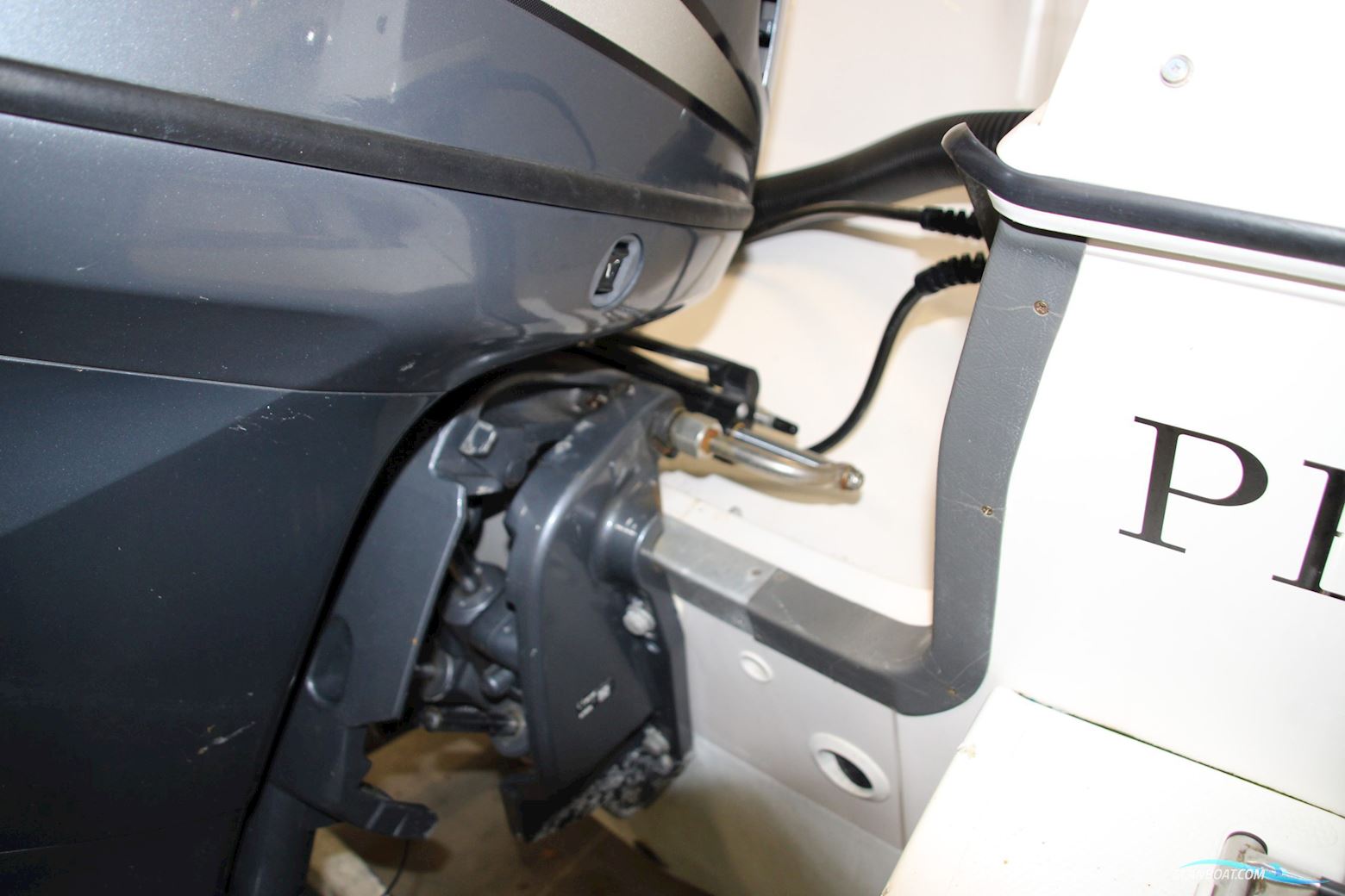 Campion 542 SC Explorer