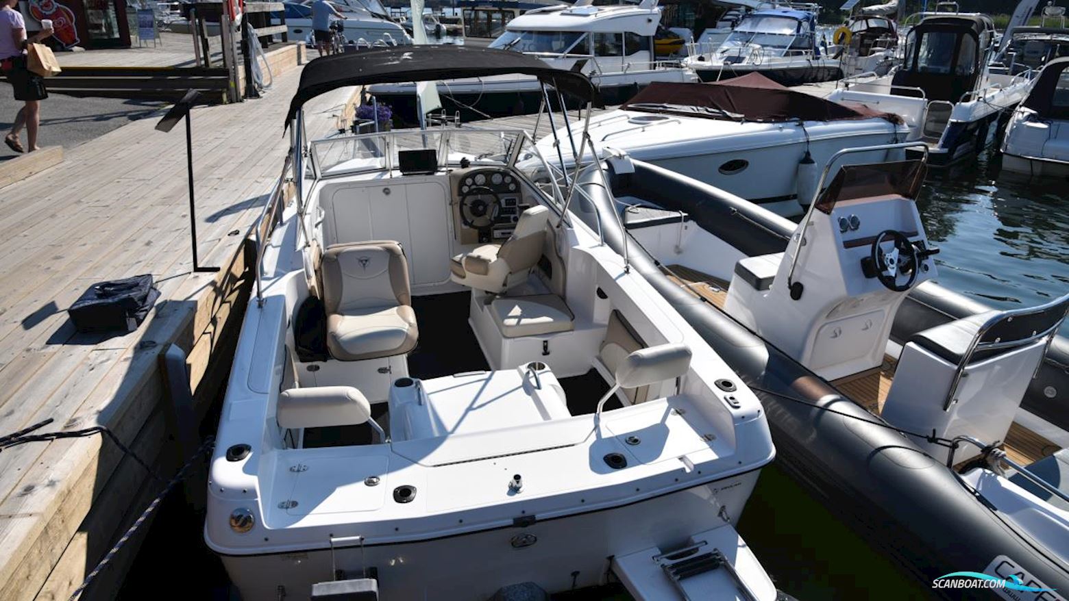 Campion 552i
