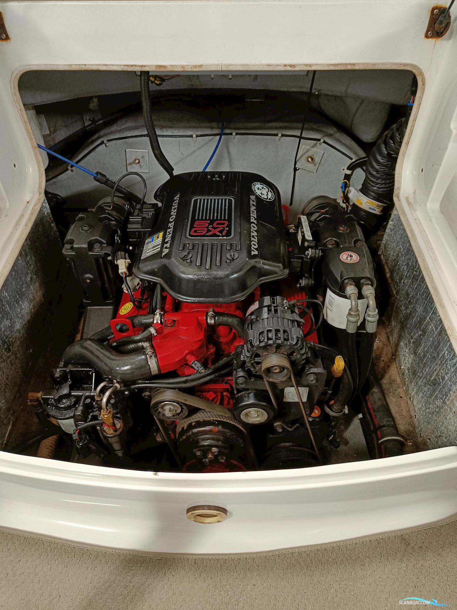 Campion 705 i SC Allante