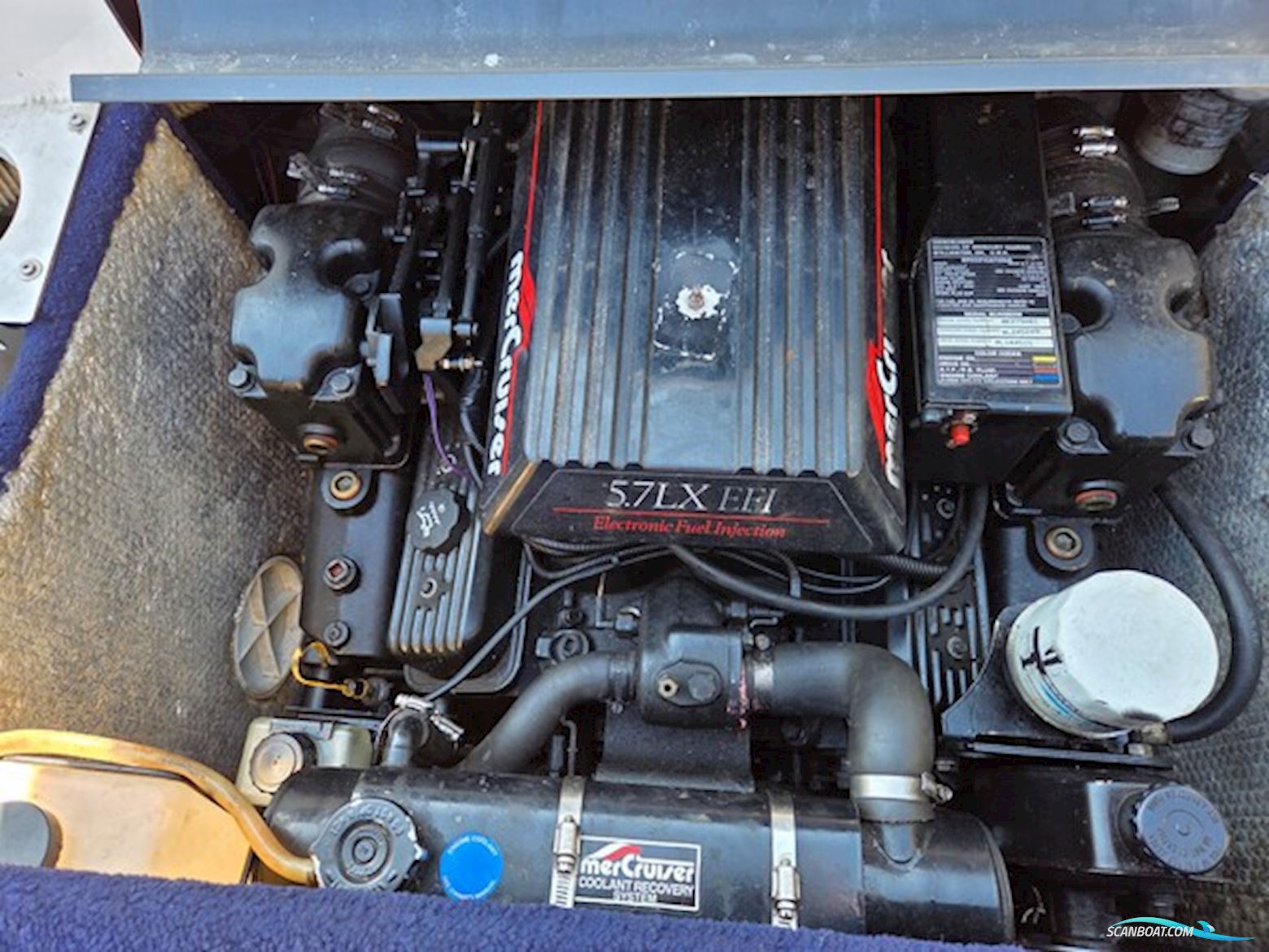 Campion Chase 630 Zri, Mercruiser V8