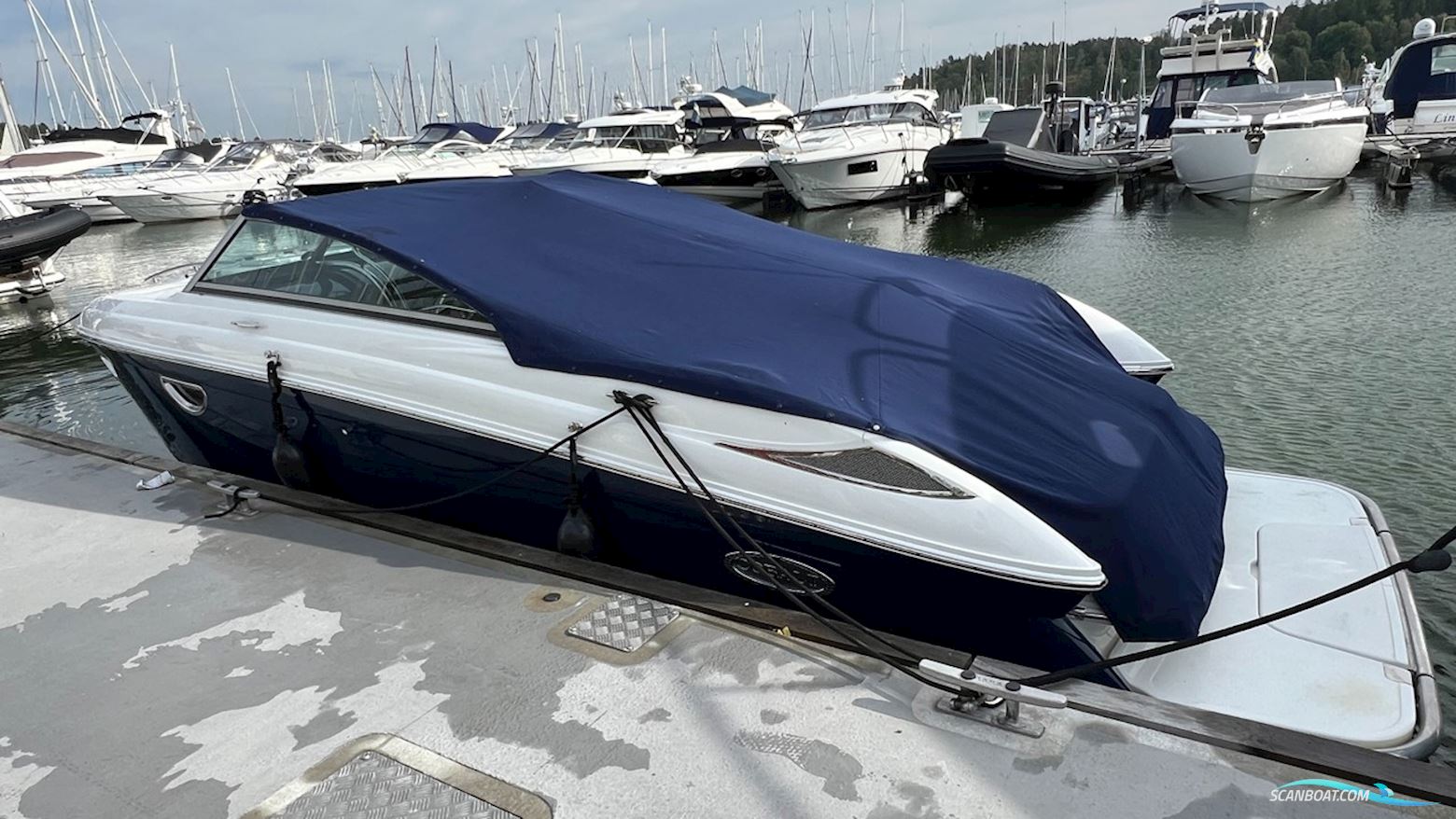 Cobalt 243