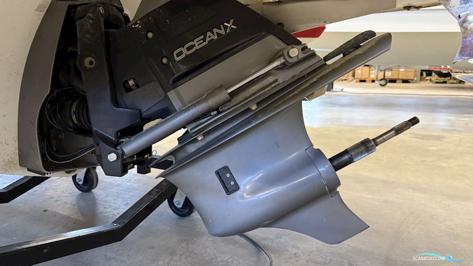 Cobalt 243