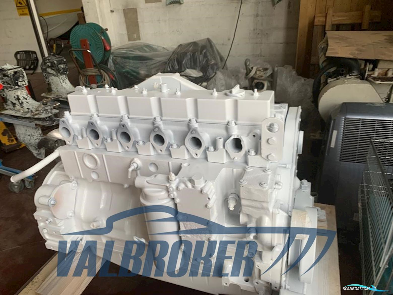 Colombo CAMBRIDGE 44