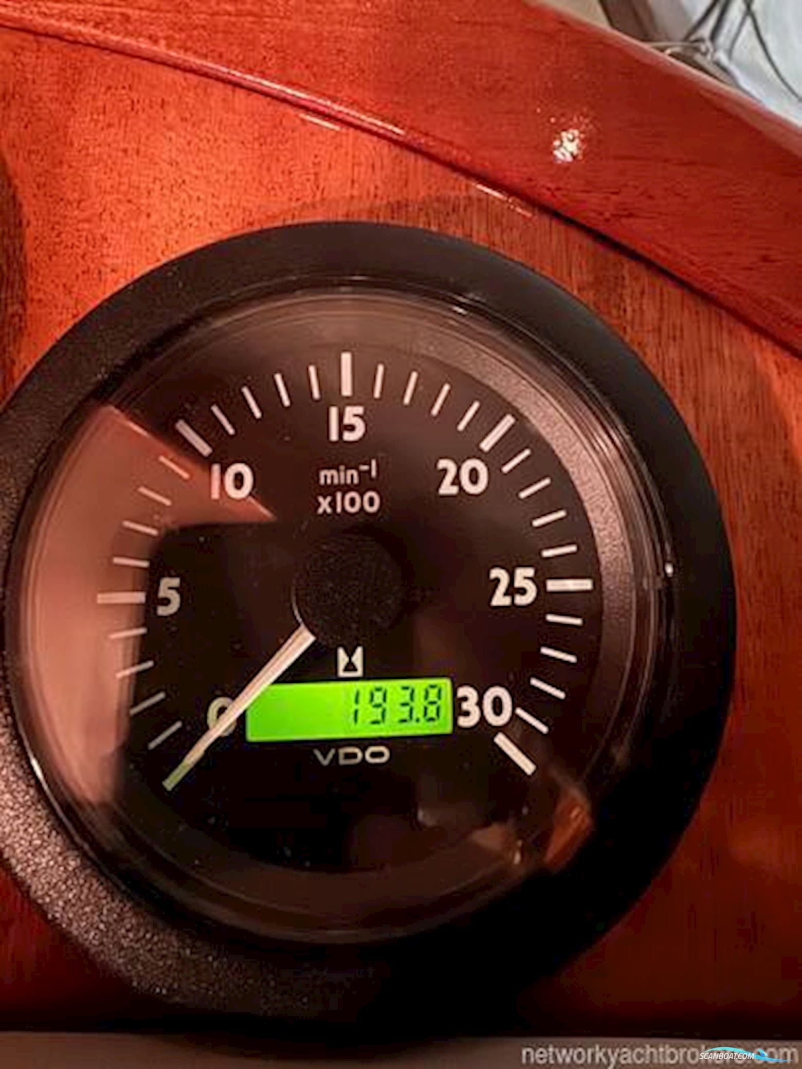 Colombo Leopoldo Lobster 38