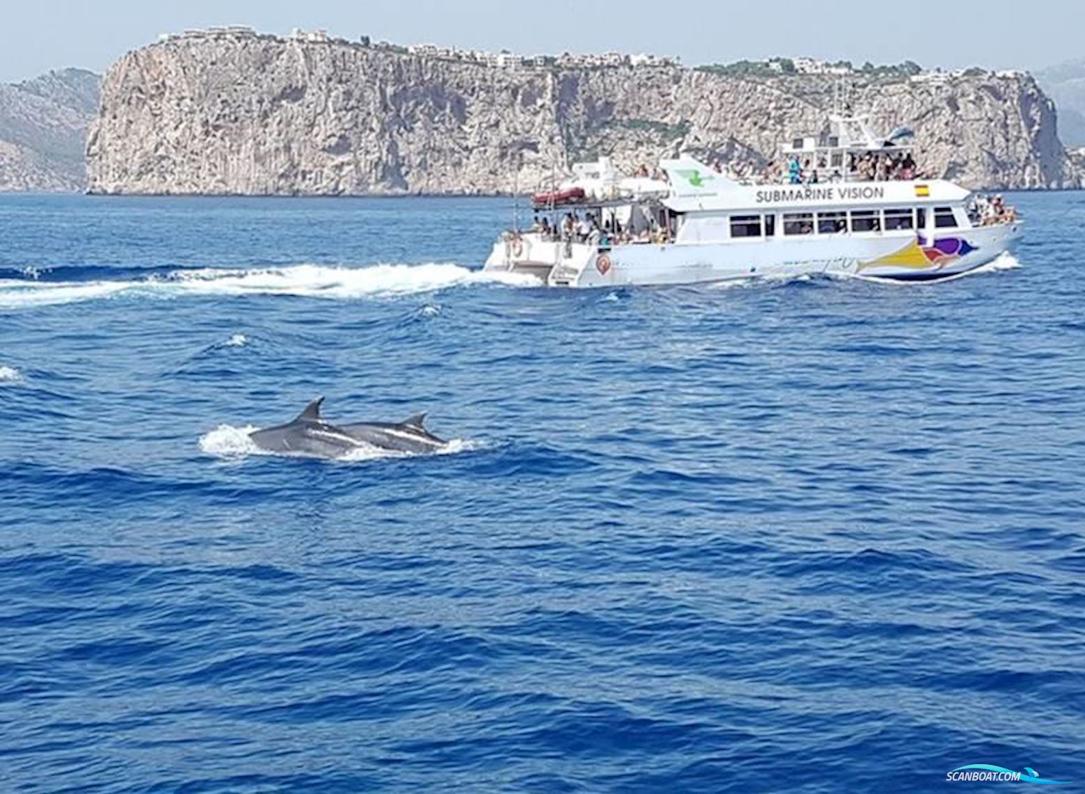 Commercial catamaran