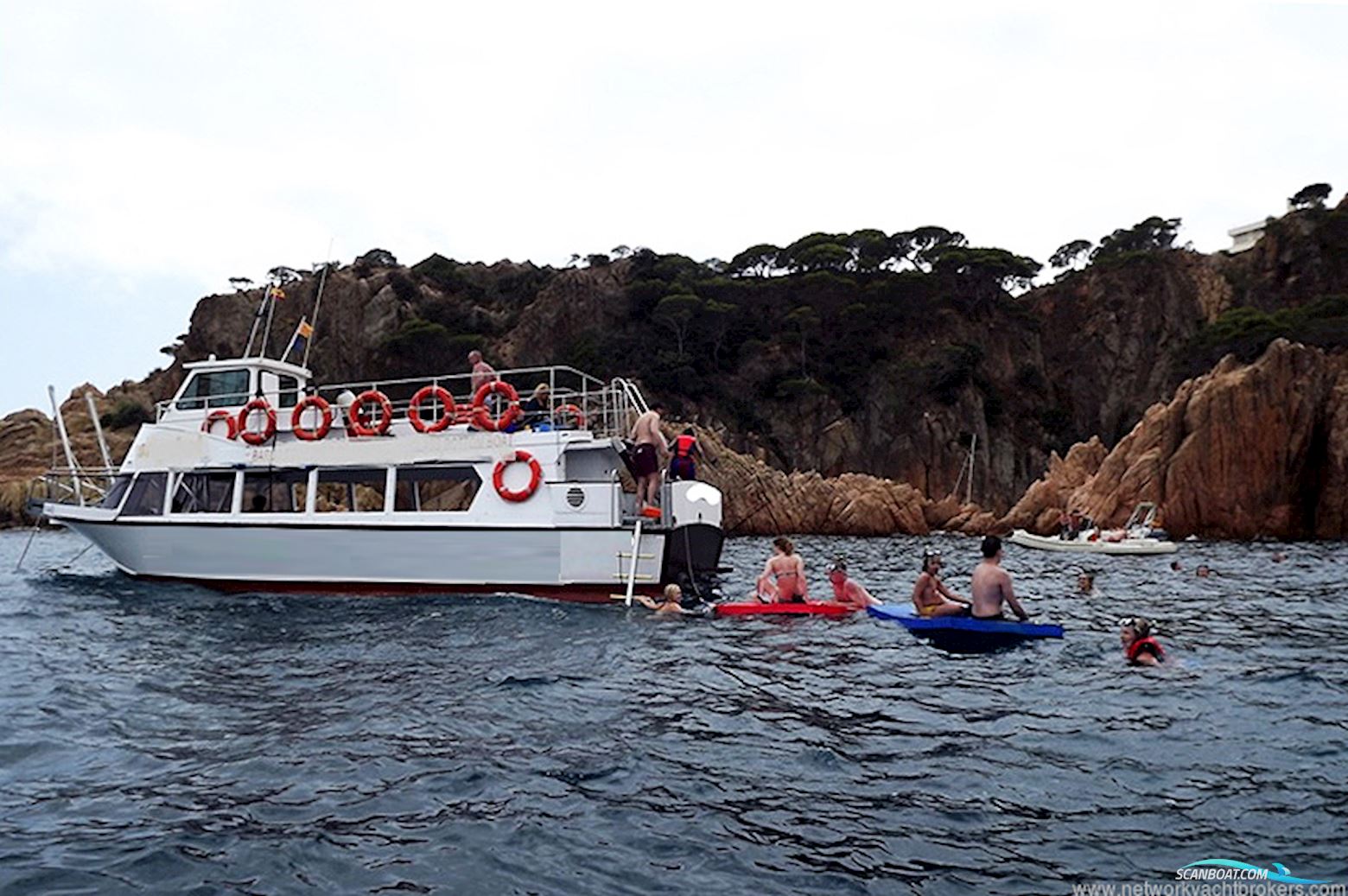Commercial Snorkelling Day Cruiser Fishing Boat