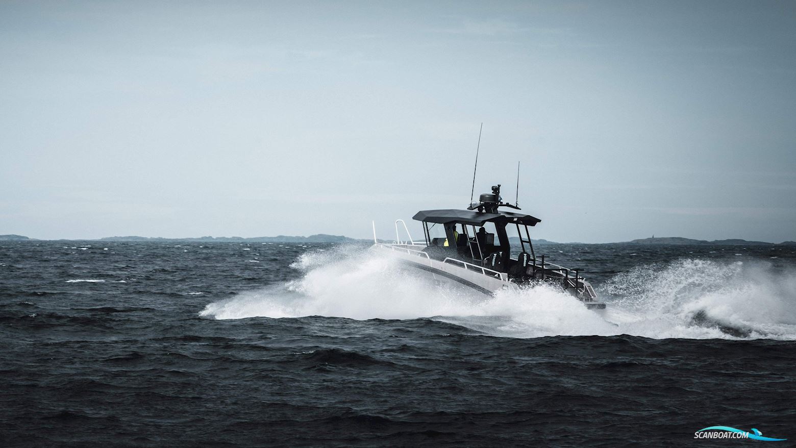 Conger C34