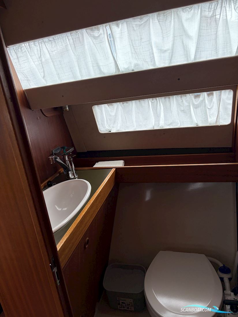 Coronet 26 Family Sport