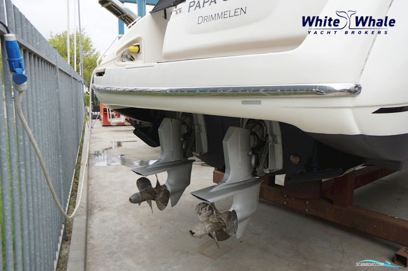 Cranchi 39 Endurance