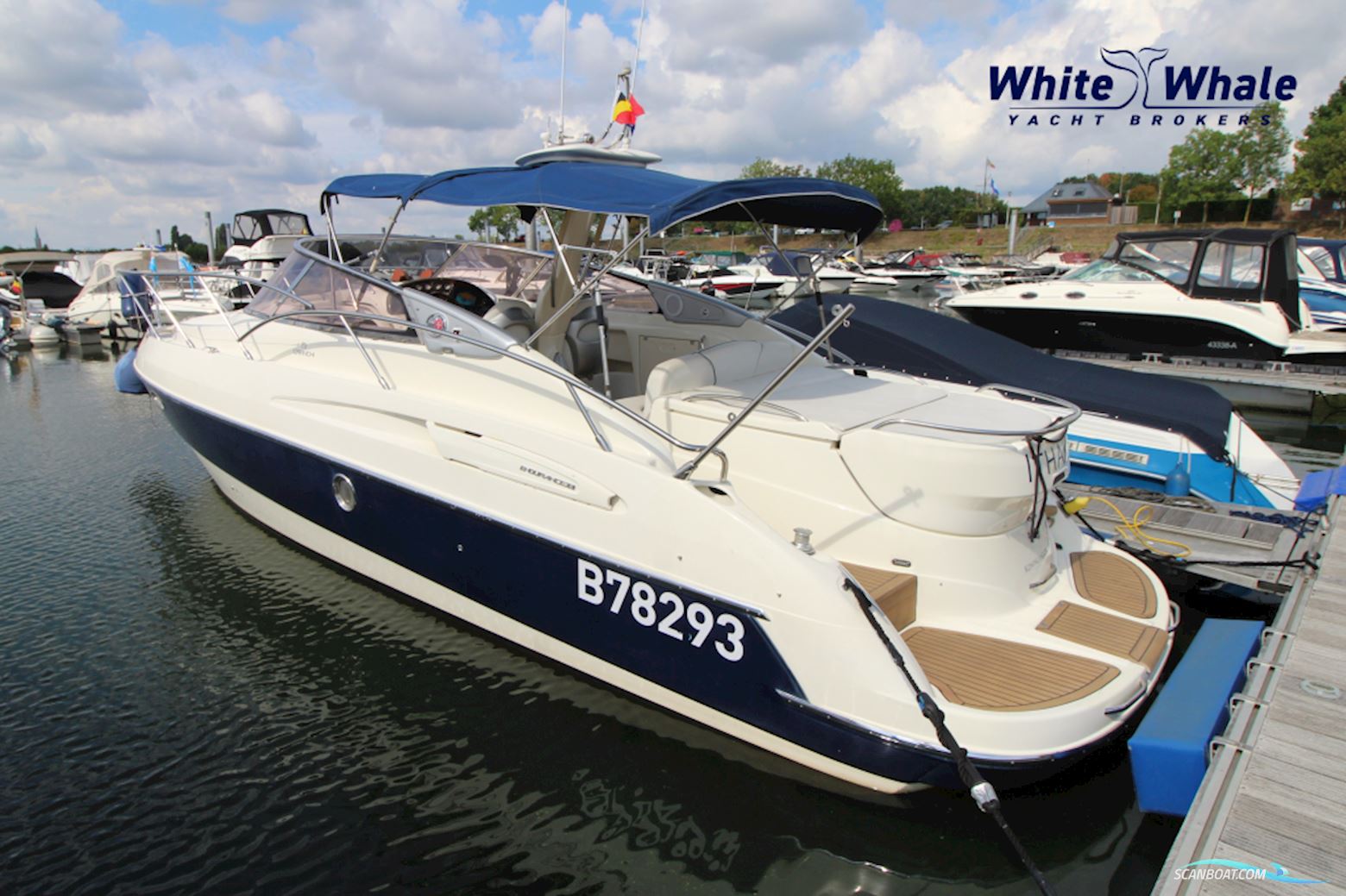Cranchi Endurance 33