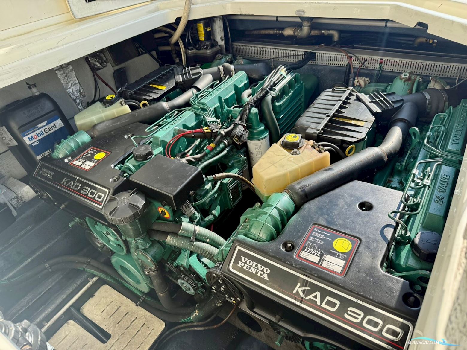 Cranchi Endurance 39 ‘Truluck’s’