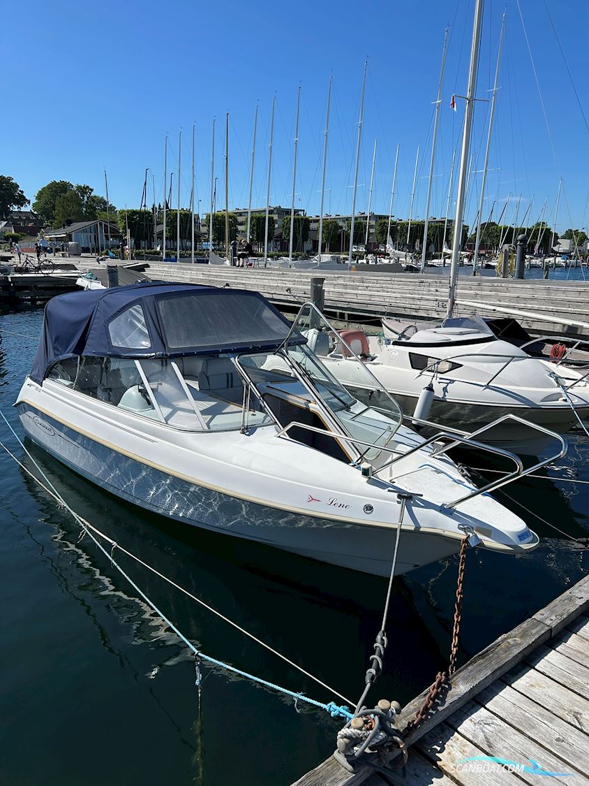 Crescent T-Rex V23 Motorboten 2009, met Evinrude E-Tec 115 motor, Denemarken