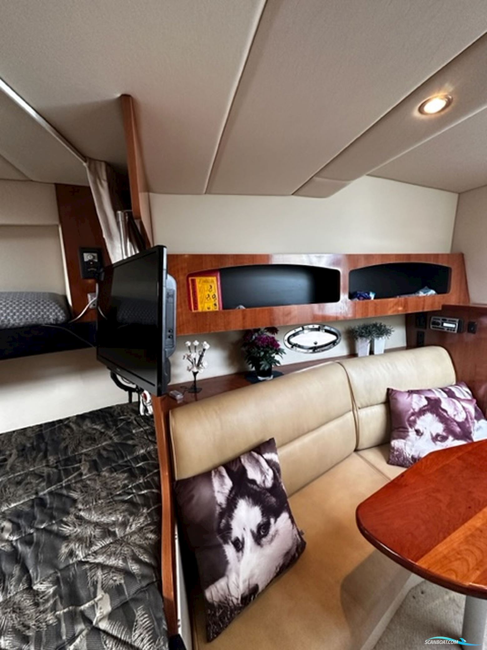 Cruiser Yacht 300 CXI