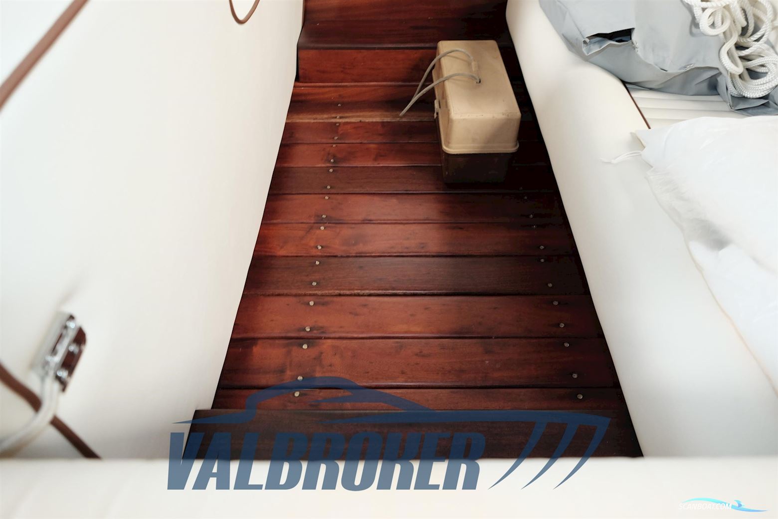 Dalla Pietà Adriatico