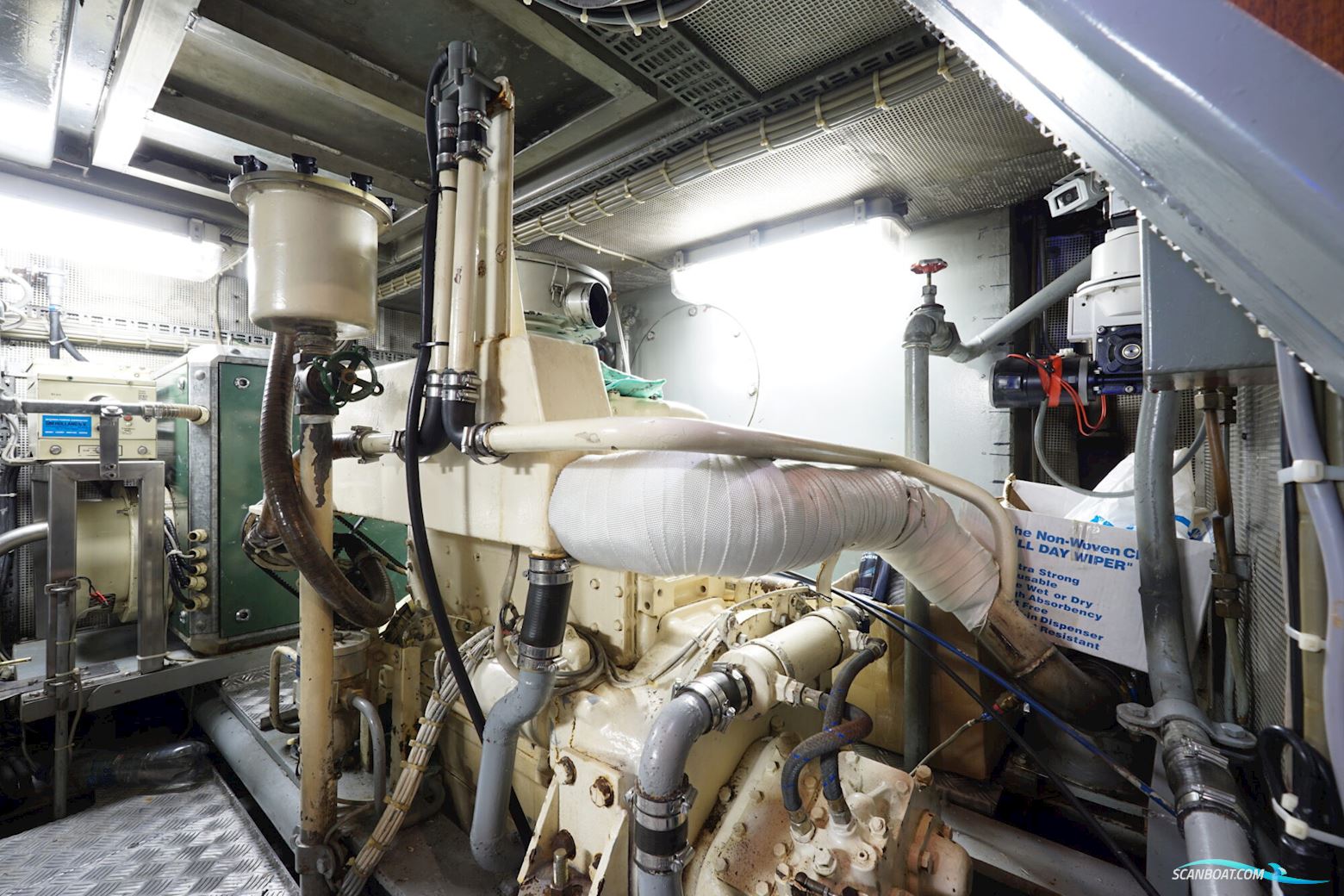 Damen Pushy Cat 15.00 AK Cabrio