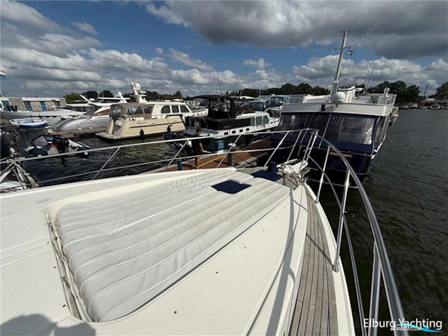Elegance 53