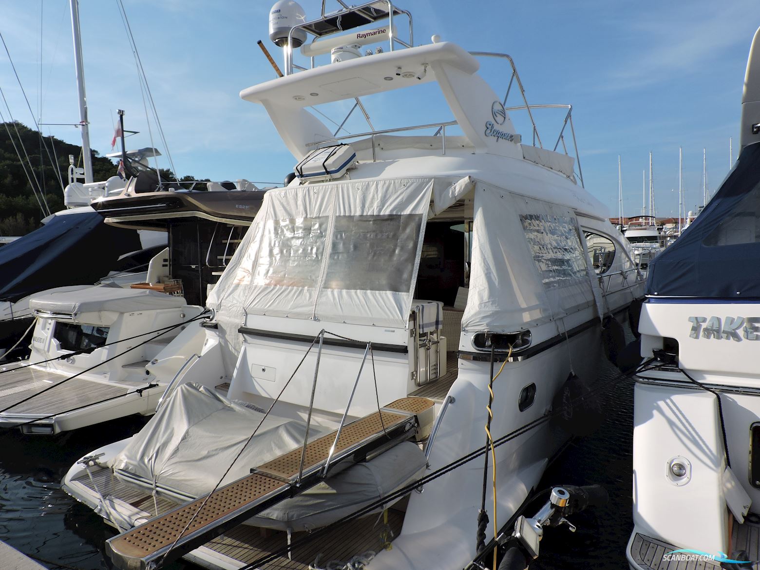 Elegance 54