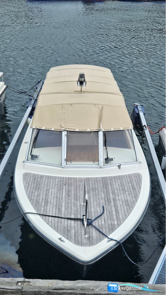 Fjord Hankö terne