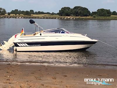 Fletcher Sportcruiser 18 Motorboten 1995, met Evinrude Outboard Motors motor, Duitsland