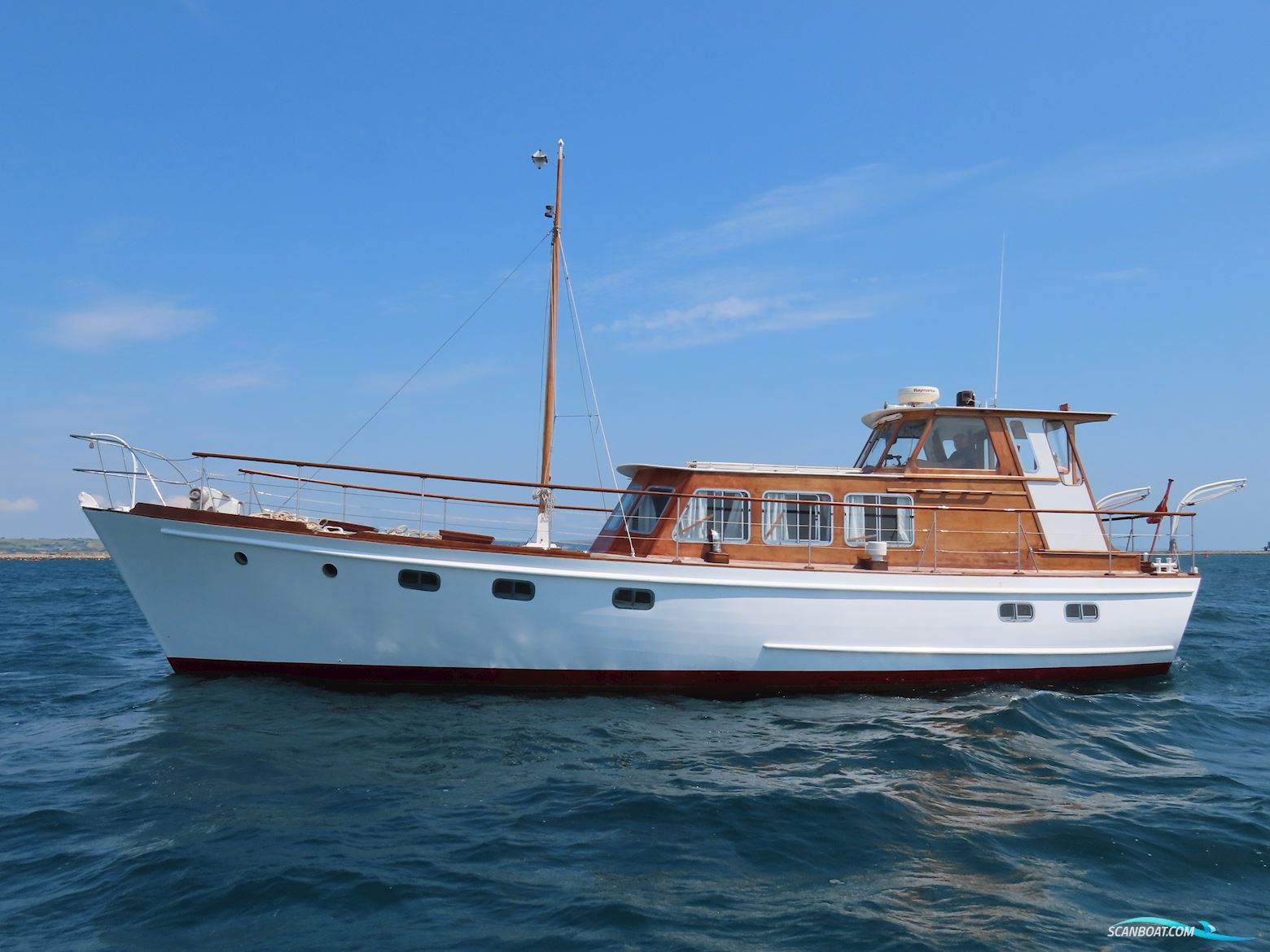 Fleur de Lys 50