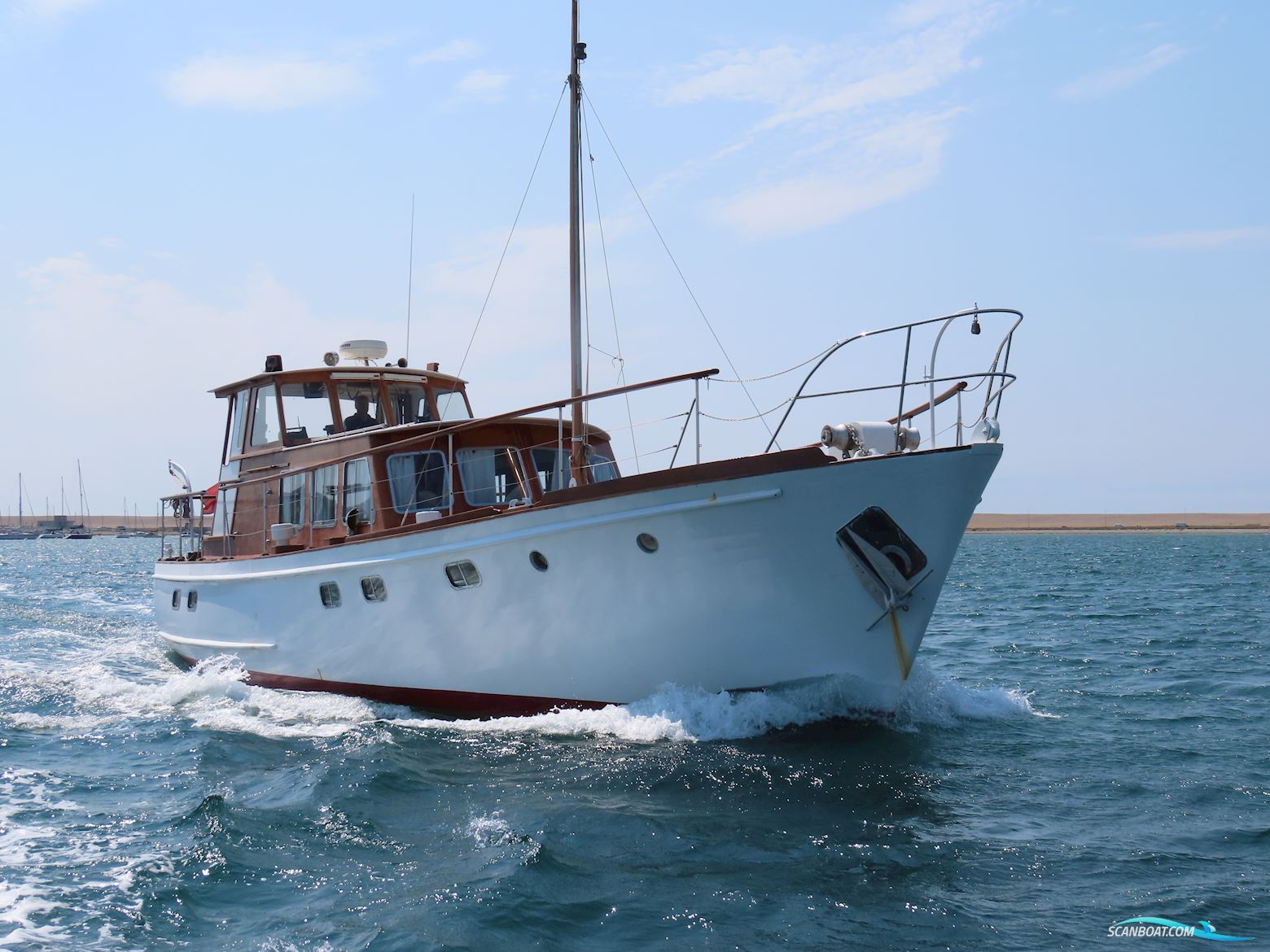 Fleur de Lys 50