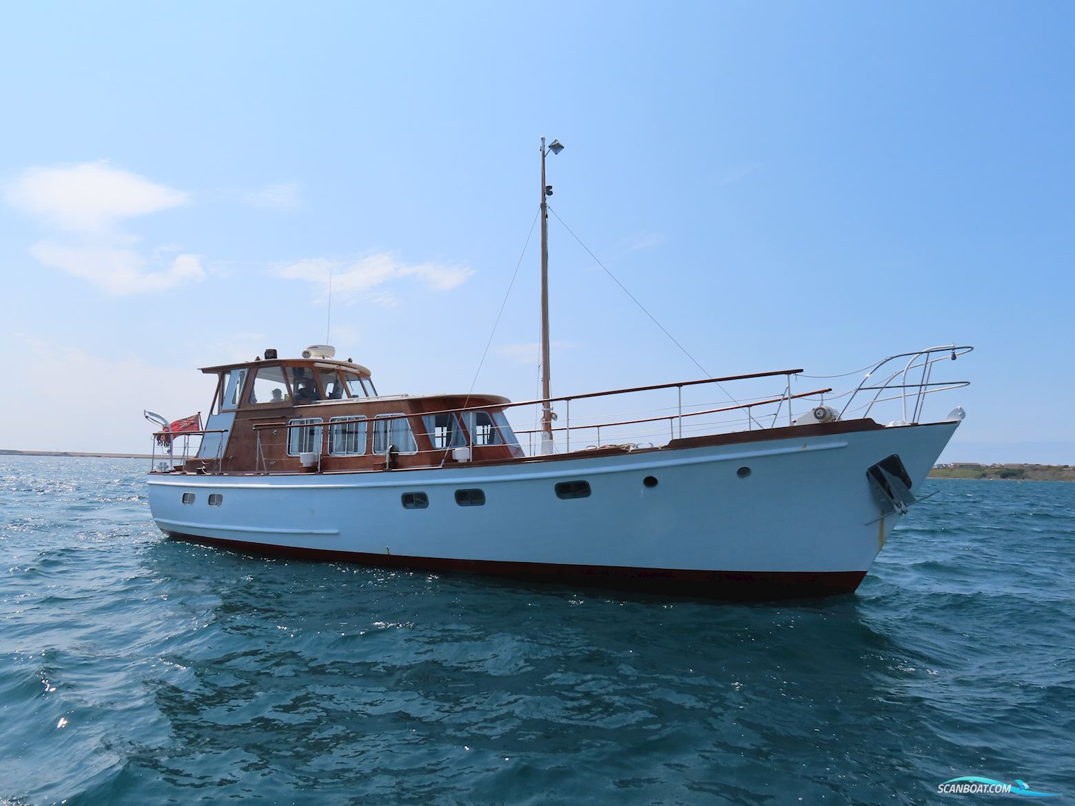 Fleur de Lys 50