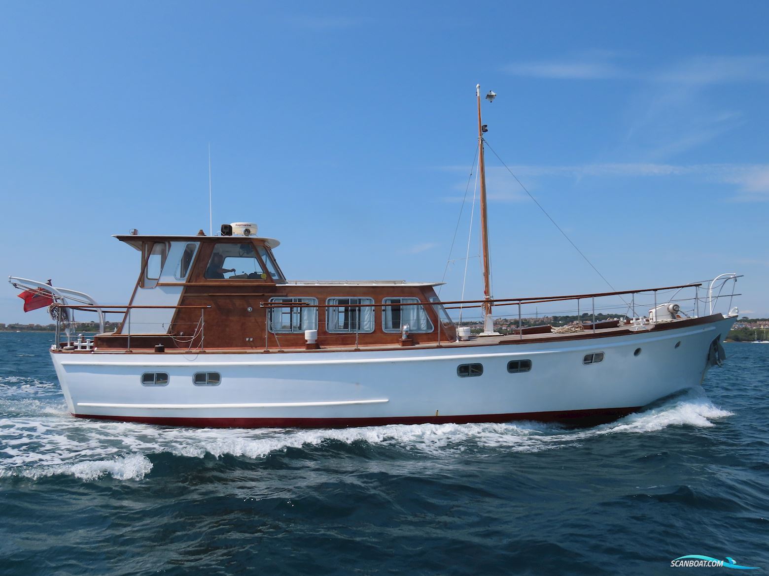 Fleur de Lys 50