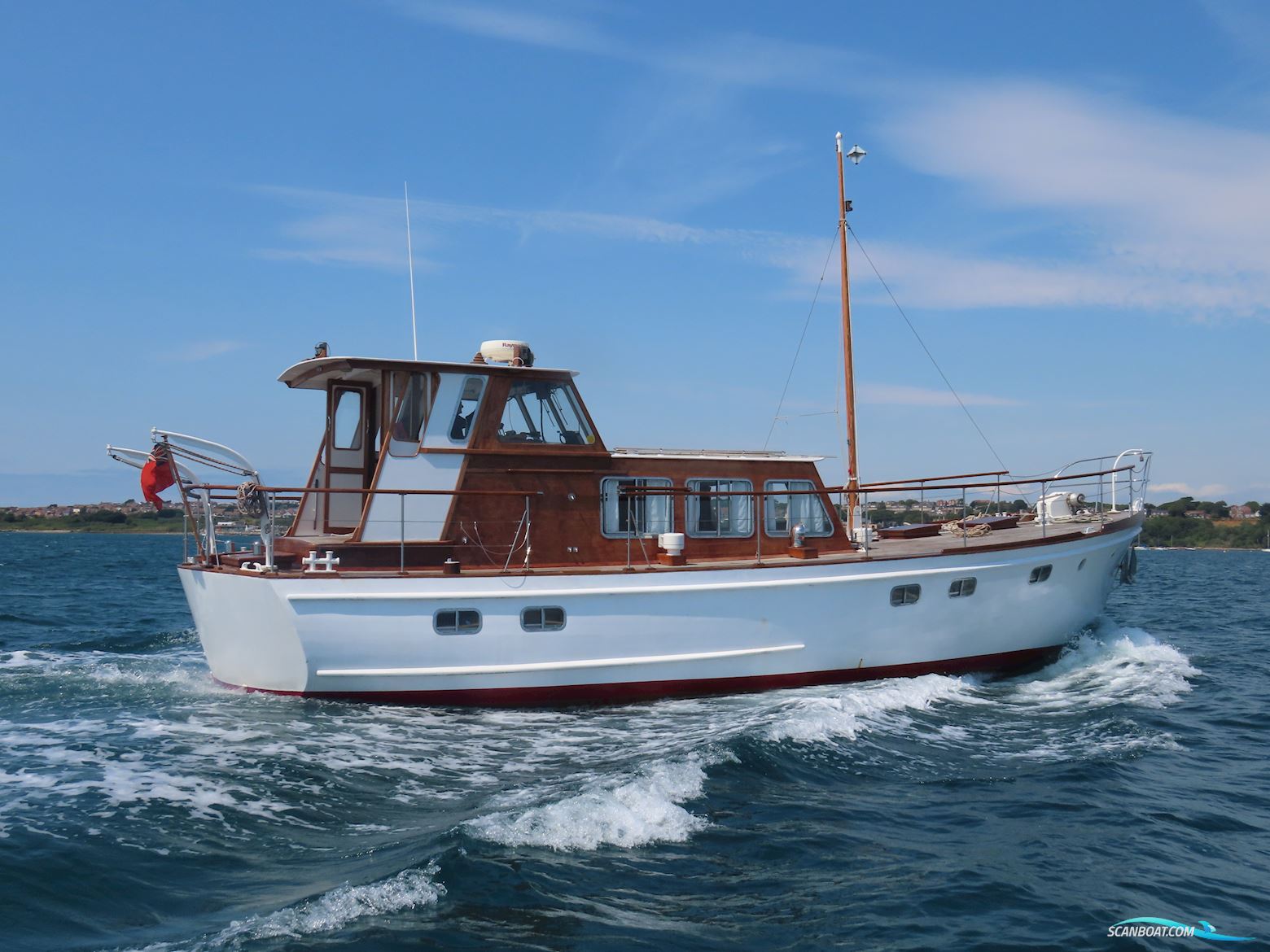 Fleur de Lys 50