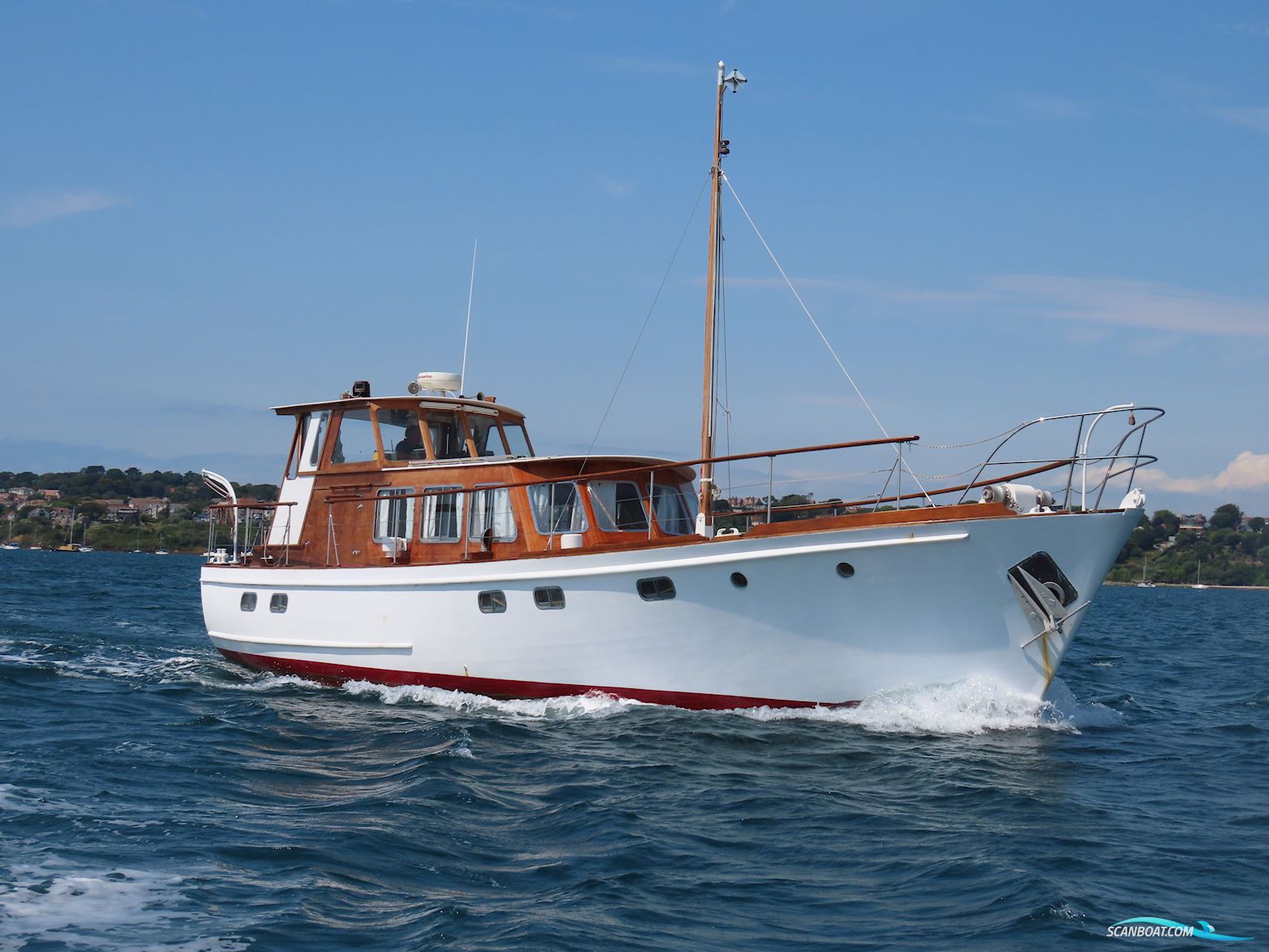 Fleur de Lys 50