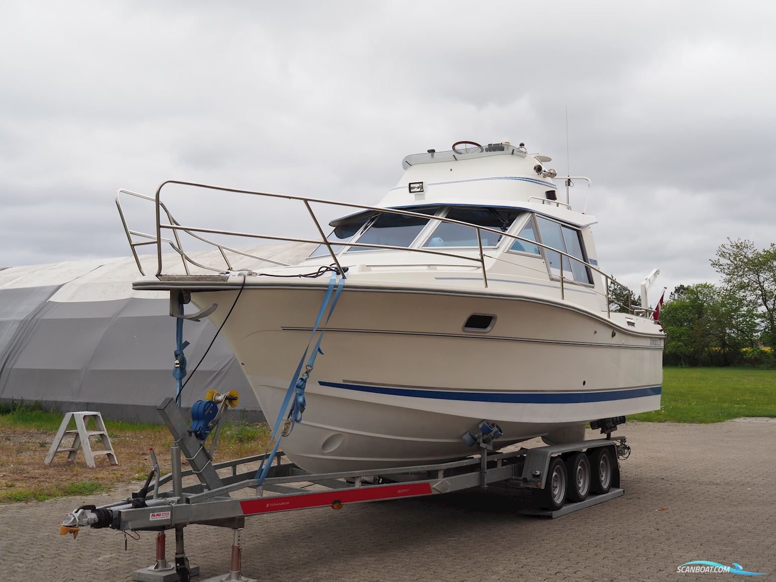 Gib Sea Jamaica 27
