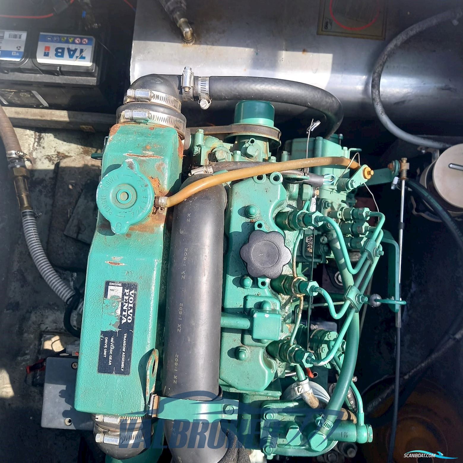 Gozzo Genovese Baciccia