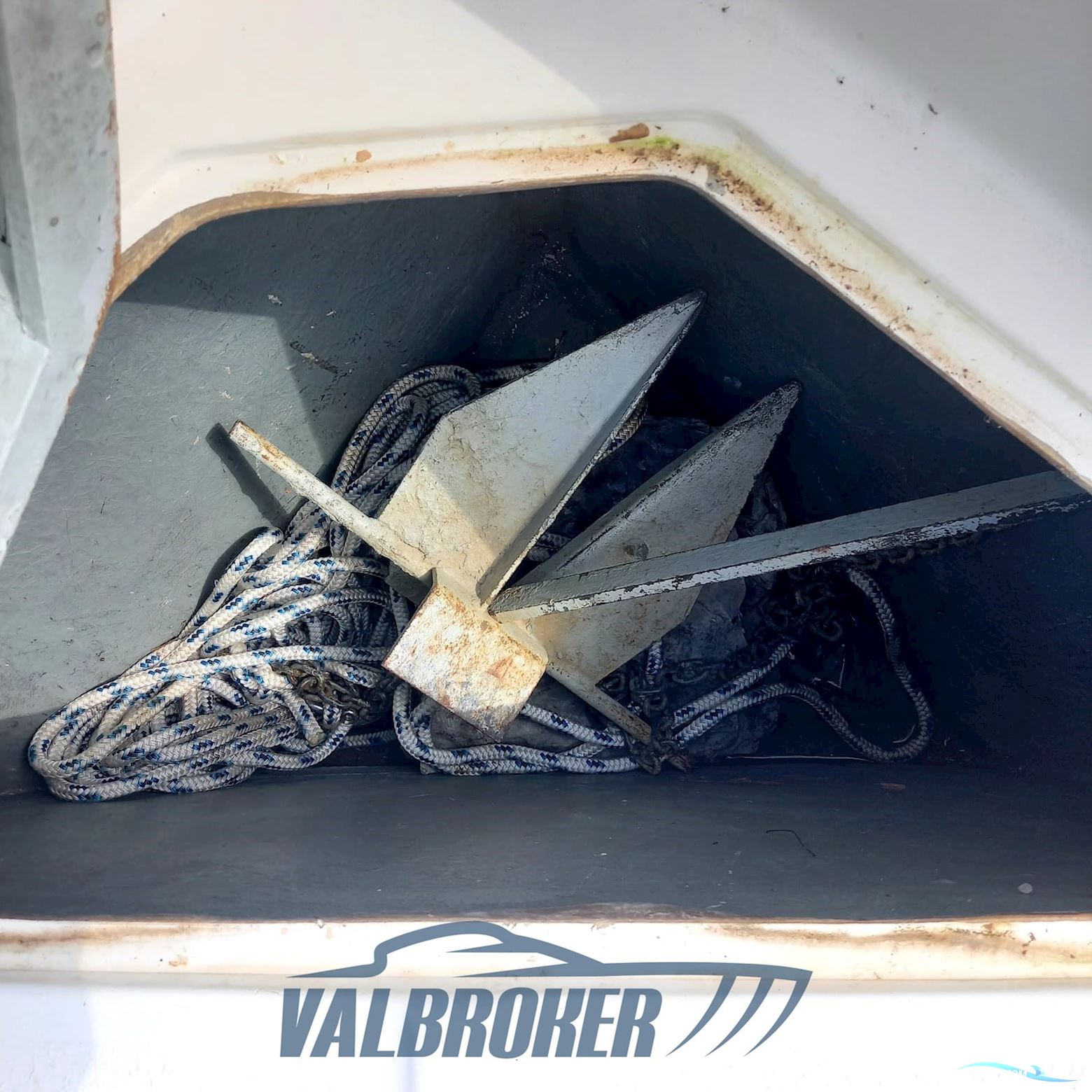 Gozzo Genovese Baciccia