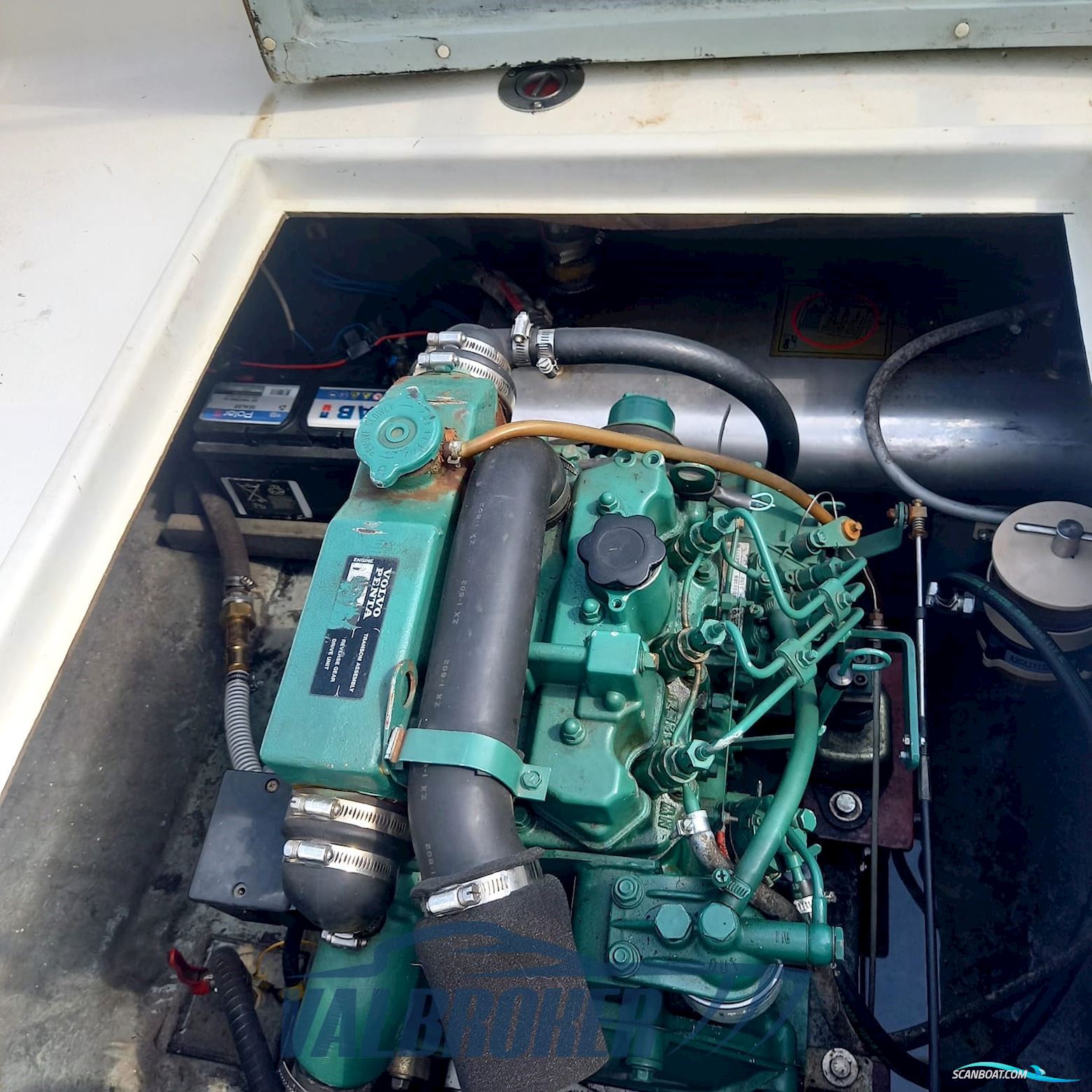 Gozzo Genovese Baciccia