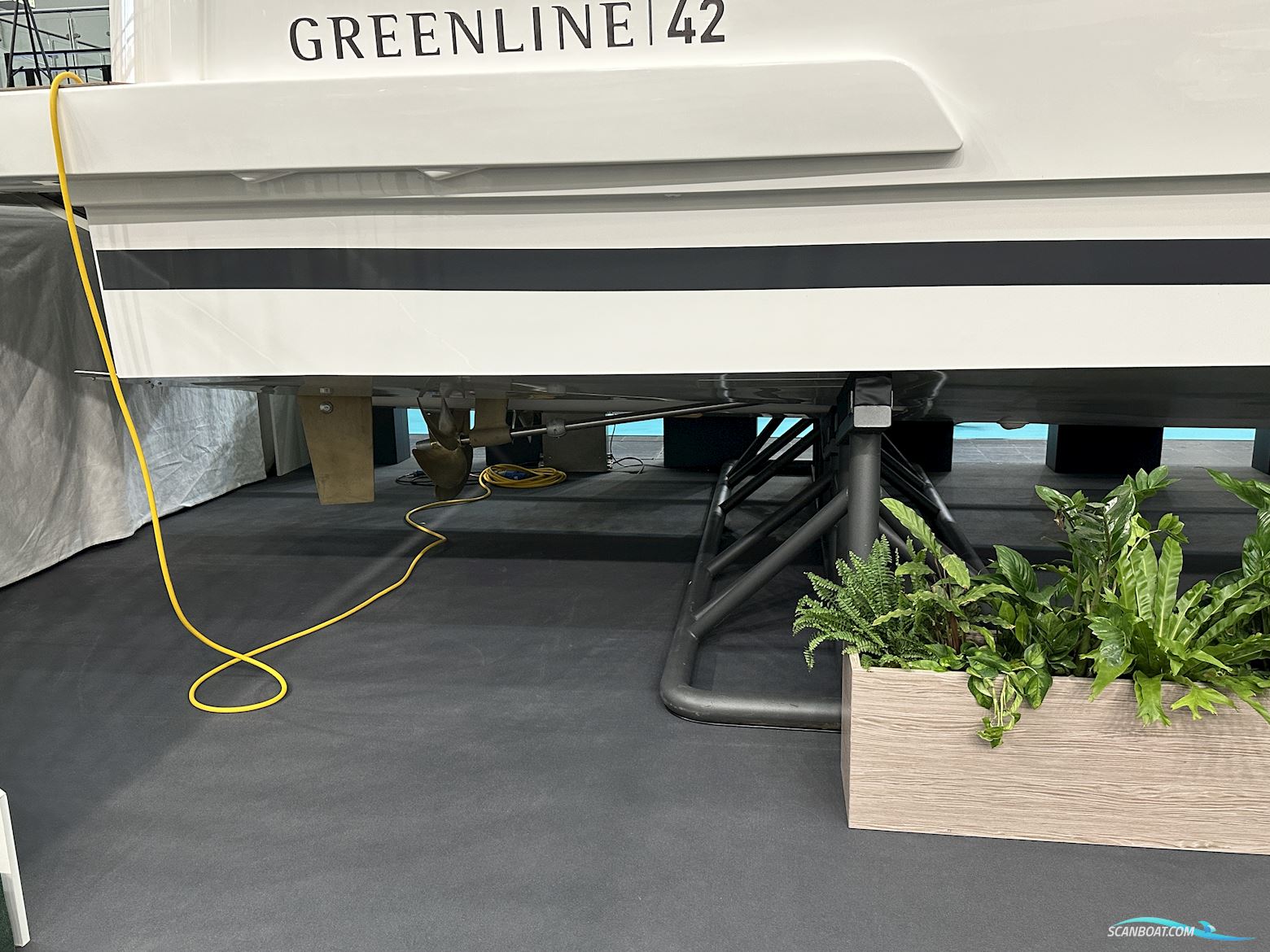 Greenline 42
