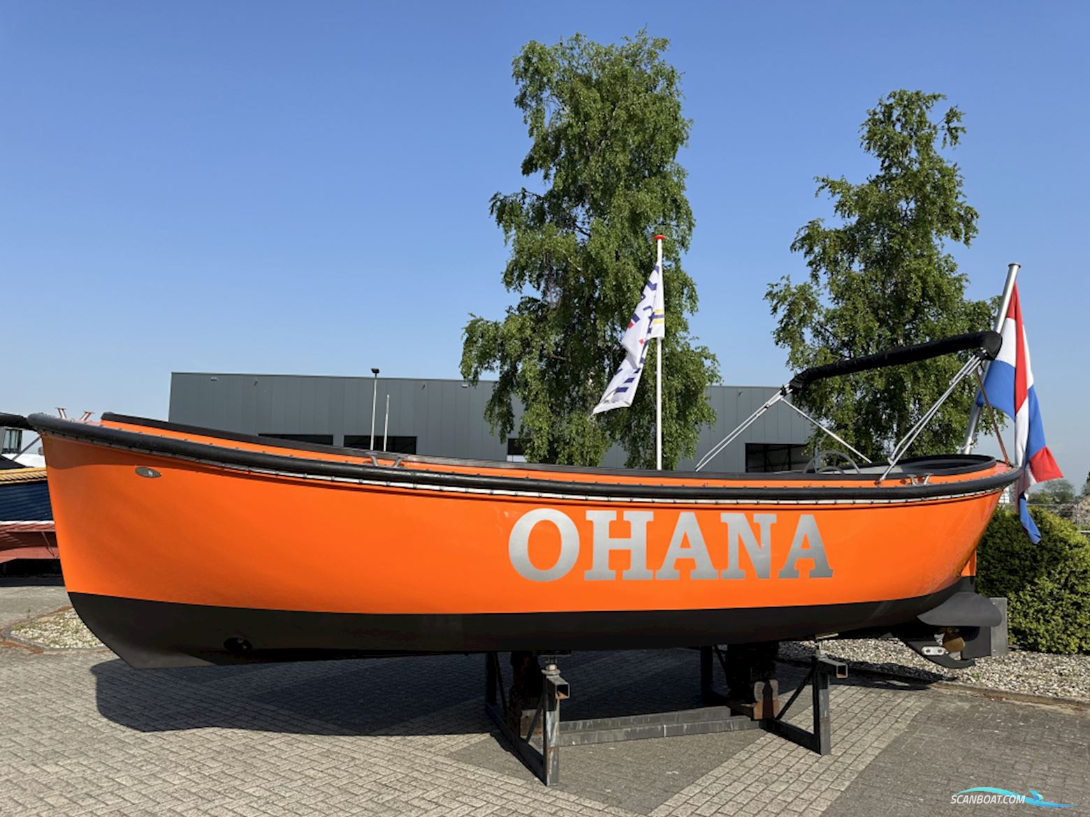 Harding 800