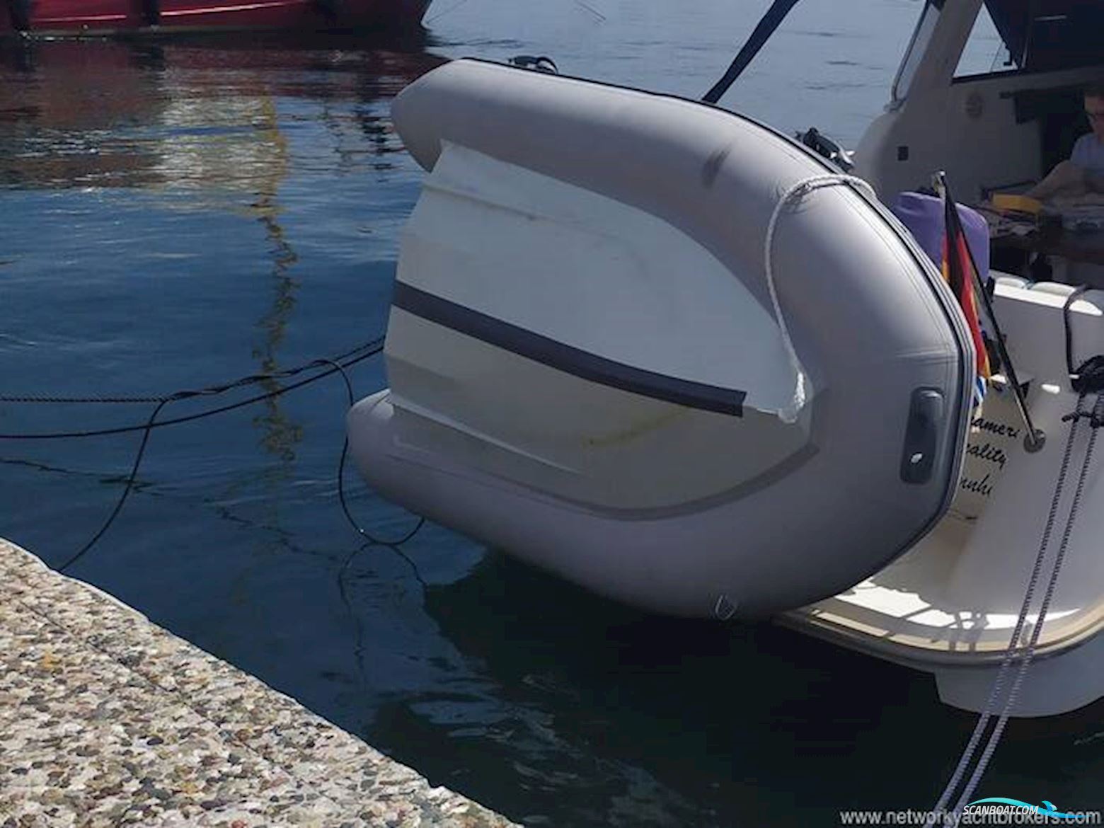 Hardy Marine Seawing 305